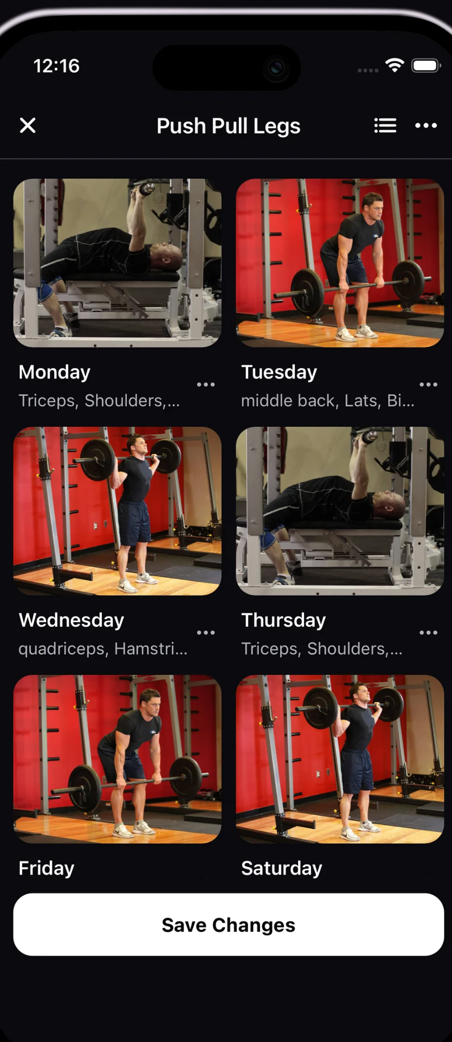 Spotter push/pull/legs program screen